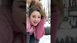 funny fox #fox #funny #funnyfox #cute #cutefox #foryou #fyp