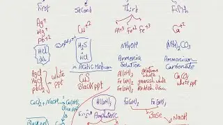 Summary of chapter 2 | Qualitative analysis | Senior3 | Mr mazen ashraf 🧤🧤