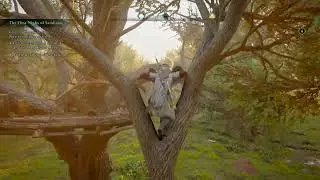 AC:Valhalla - Chest south-west of Druid's Cottage, Up on tree