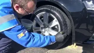 Frogchem Extra long lasting tyre shine