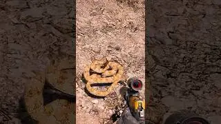 Far Cry 5 Snake Hunt 🐍🔥#viral #short