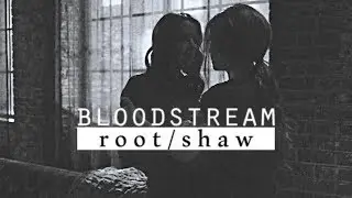 Bloodstream || Root x Shaw