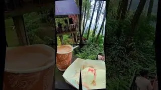 Daong hutan pinus bogor