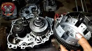 perbedaan draf gear tiger/megapro