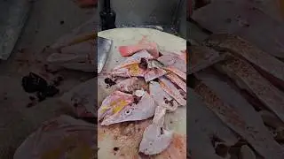 Queen Red Snapper Fish Cutting Skills#shorts