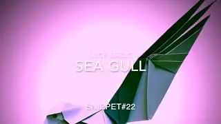 Snippet#22 Sea Gull
