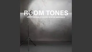 Empty Vintage Store White Noise Ambience, Pt. 2