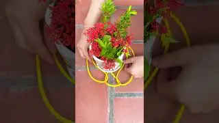 Great Idea to Make a DIY Knot for Hanging Flower Pots!
