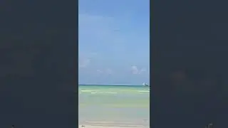 Чайка камнем за рыбой, Сейшелы / Seagull dives for fish &mdash; Seychelles