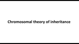 Chromosomal theory of inheritance