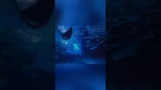 Mesmerizing School of Fish in Aquarium Nature's Beauty Unveiled