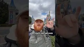 A Massive Cold Front has hit Walt Disney World #shorts
