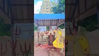 #Yah Meri🛕🙏📿🪈Shop Hai#Yhi Mandir Yaa #Basuri Ki Avaaz Bahut Achcha Hai