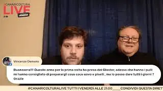 #CanaricolturaLIVE - Lo svezzamento dei canarini