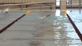 front- back.MP4