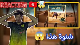 Street Boys - Bel 3arbi 🇹🇳||😱🤯REACTION🤯😱||🇹🇳 شنوة هذا #reaction