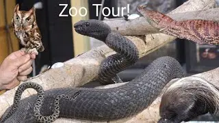 Private tour of South Carolina's HIDDEN ZOO!