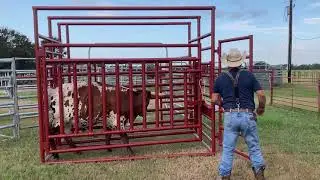 Dube Big Chute