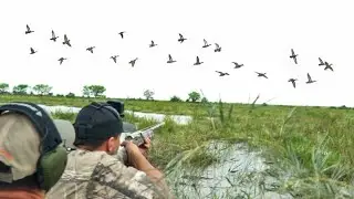 TEAL HUNT 4 Man Limits | 2021 Duck Hunting Teal Season