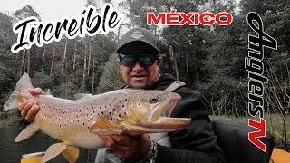 PESCA INCRE&Iacute;BLE guiando y pescando TRUCHAS * Fly Fishing M&eacute;xico * TS#44