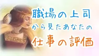 【タロット占い】‎職場の上司から見たあなたの仕事の評価･あなたの印象😳💭びっくりするほど当たる！？タロット&オラクルカードリーディング🌟