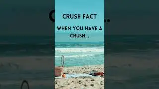 The Illusion of Perfection: Why Your Crush Can Do No Wrong