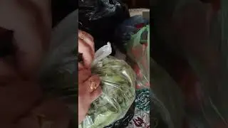 تسويقه النهارده 350 جنيه ومن ضمن تفريزات رمضان