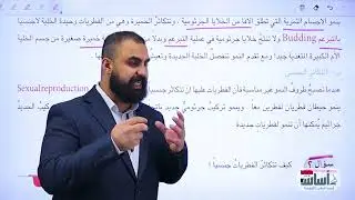 الدرس (2) كيف تتكاثر الفطريات؟ (الفصل 3) || أحياء (الثاني المتوسط) مع أ. محمد ماجد