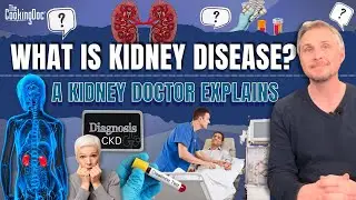 The Ultimate Guide to Understanding Kidney Disease | The Cooking Doc®