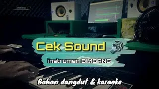 Tes style tanpa quantis & cek sound BIMBANG..