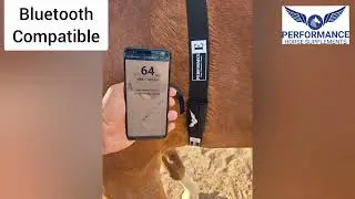 Heartrate Monitor Training Strap