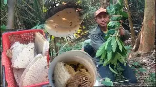 mus yos ntab muab ntab hav zoov.1/1/2026