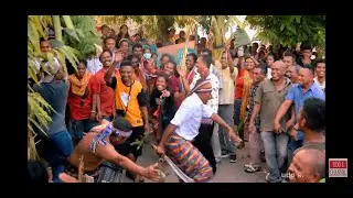 Beginilah Upacara Adat Ro'a Mu'u di Kabupaten Sikka