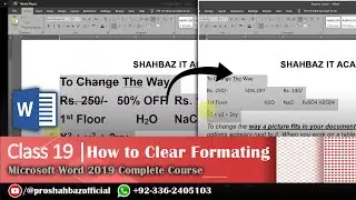 Class 19 | How to Clear All Formatting from Text in Ms Word | Microsoft Word 2019 Complete Course
