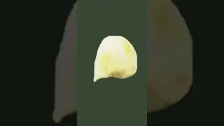 Chip