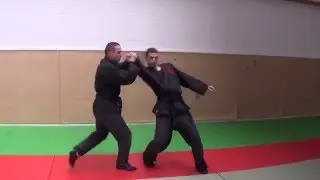 Tenchijin ryaku no maki ( programme officiel Bujinkan Hombu )mus&ocirc; - musha dori