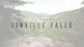 Dog Friendly Linville Falls, NC | Hiking With Dogs