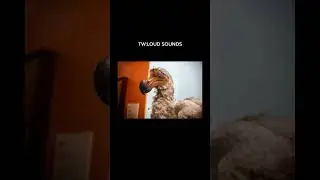 What extinct animals sounded like