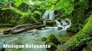 Musique Douce Relaxante, pour apaiser l'angoisse, musique paisible, m&eacute;diter et d&eacute;stresser