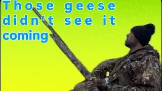 Run&Gun outlaws those geese didn&rsquo;t see it coming 