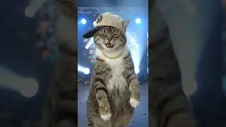 #cute#cat#kitty#kny #anime#statusvideo#cat accessories#demonslayer#kpop #kpopedit