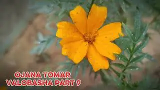 New Golpo - অজানা তোমার ভালোবাসা / Part 9 / Ojana Tomar valobasba Voice of jamil 
