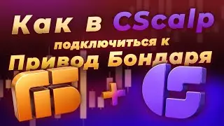 Как подключить CScalp к Приводу Бондаря за пару минут