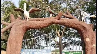 uppalapadu bird sanctuary park near Gunter🦢#subscribe #birds #birdsanctuary #trending #viral #shorts