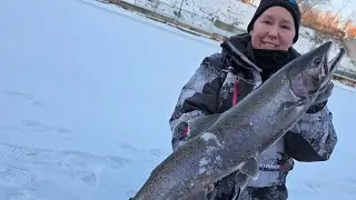 Ice Fishing Wisconsin Trout - Rainbow Trout - Big Boy Fishing
