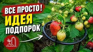 ИДЕЯ: ПОДПОРКИ для КЛУБНИКИ / Своими руками