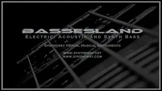 Virtual Electric, Acoustic and Synthesizer Basses: Bassesland VST VST3 Audio Unit EXS24 KONTAKT