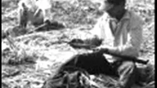 FRUTA DEL MARAÑON.wmv