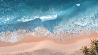 Sunny Beach Jazz 🏖️🌊 | Relaxing Bossa Nova & Ocean Waves (Live)