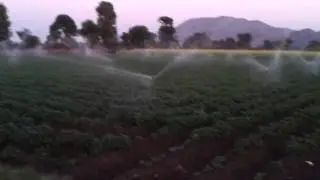 JAIN IRRIGATION , DEALER= VISHWAS IRRIGATION DANTIWADA, 9428138804